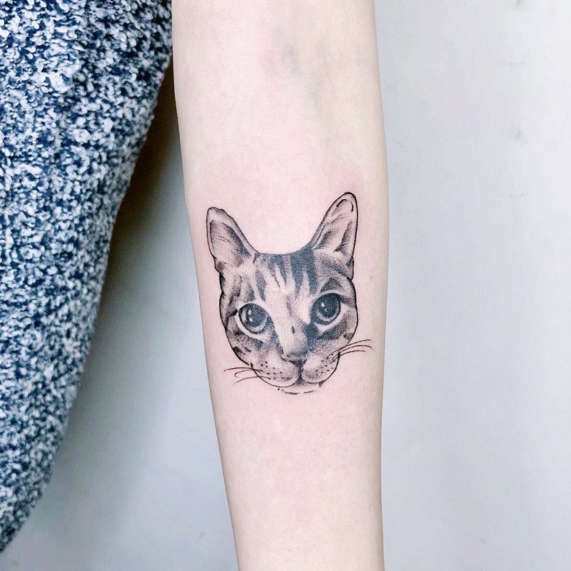 搞物流运输的萧小姐小臂猫咪纹身图案