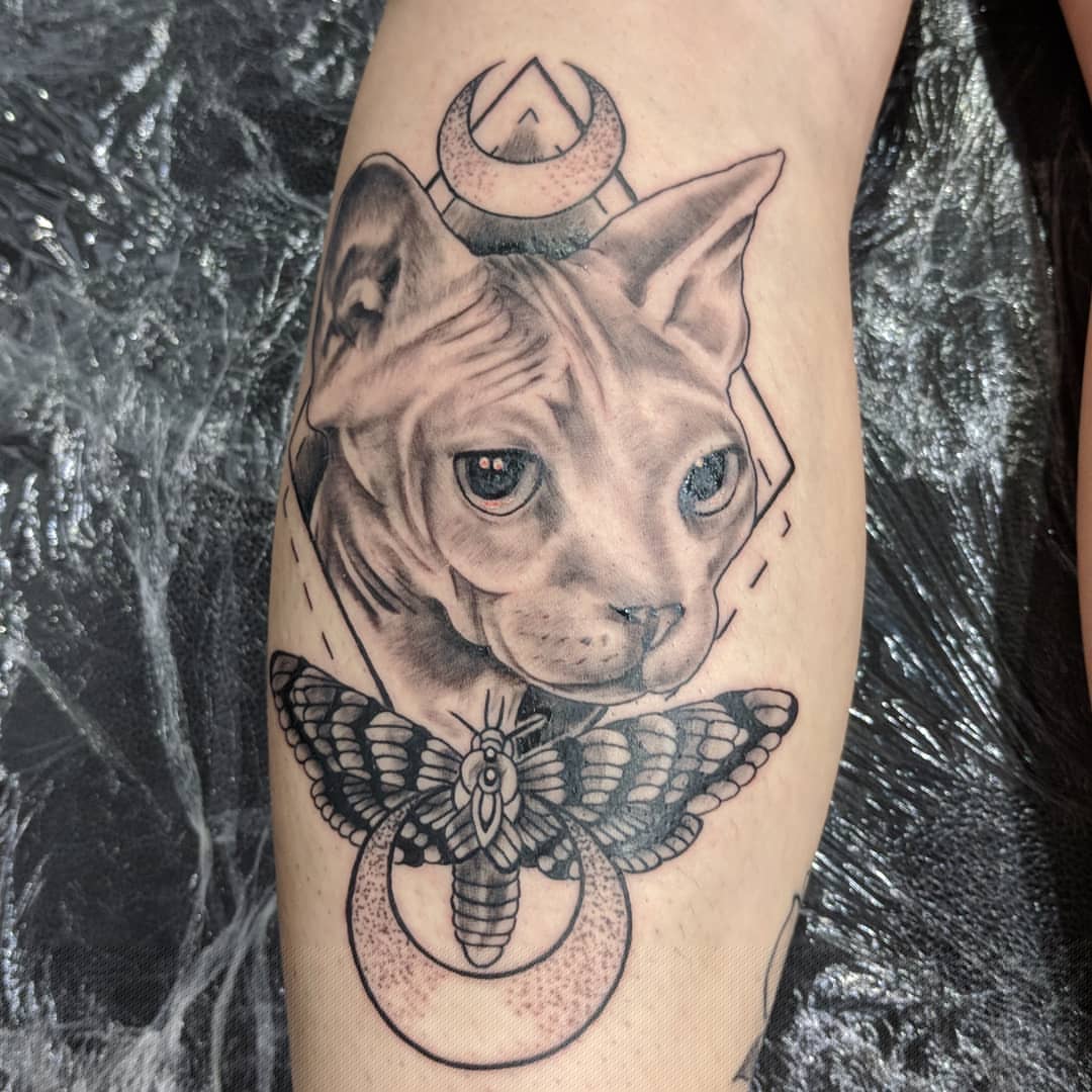 匡先生小腿猫咪蝴蝶月亮纹身图案