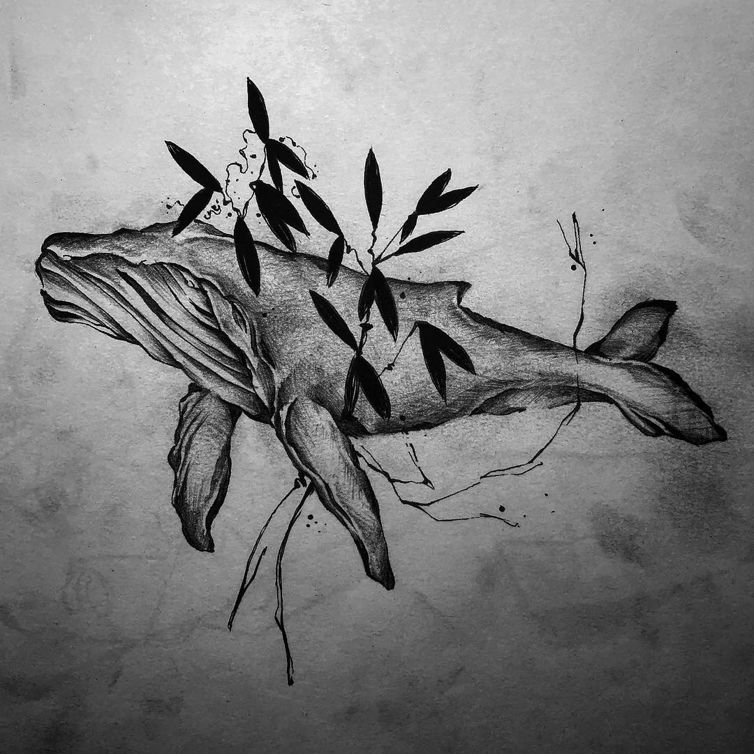 鲸鱼纹身手稿
